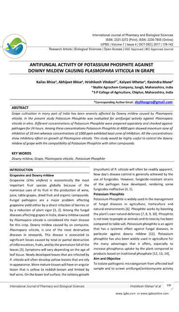 Bacterial-Blight For Downey Mildew